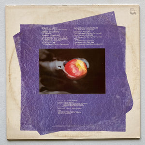 Geraldo Azevedo — Tempo Tempero (Disco de Vinil LP, usado)