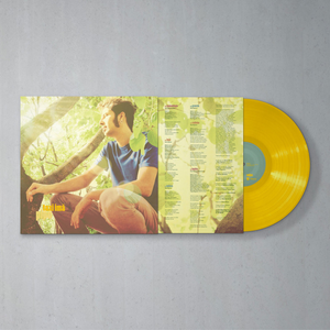 Pipo Pegoraro — Taxi Imã (Disco de Vinil LP, lacrado)