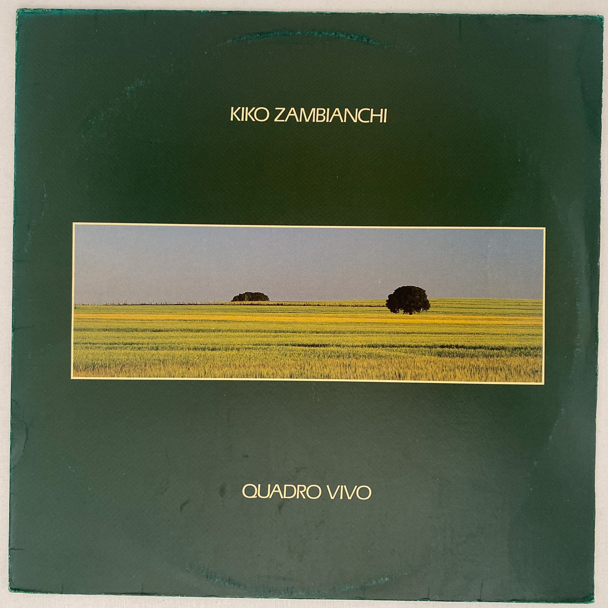 Kiko Zambianchi — Quadro Vivo (Disco de Vinil LP, usado)