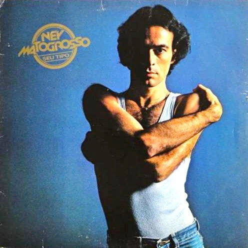 Ney Matogrosso — Seu Tipo (Disco de Vinil LP, usado)