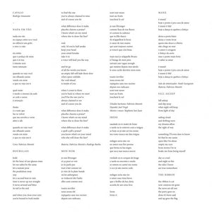 Rodrigo Amarante — Cavalo (Disco de Vinil LP, lacrado)