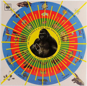 Pedro Santos — Krishnanda (Disco de Vinil LP, lacrado)