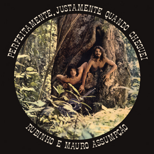 Rubinho E Mauro Assumpção — Perfeitamente, Justamente Quando Cheguei (Disco de Vinil LP, usado)