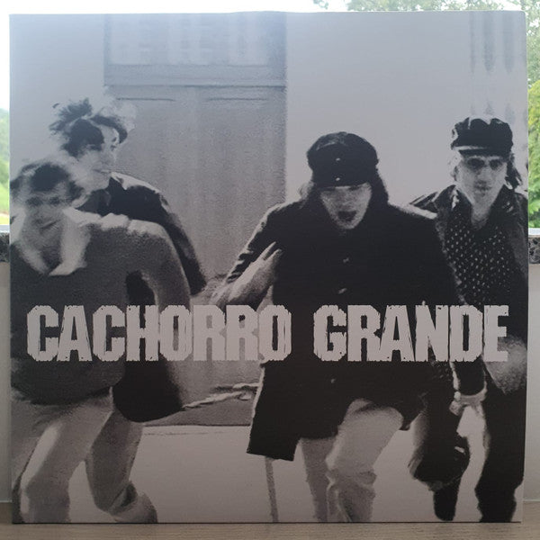 Cachorro Grande - 2001 (LP)