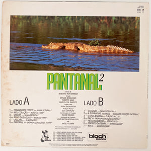 Various — Pantanal 2 (Disco de Vinil LP, usado)