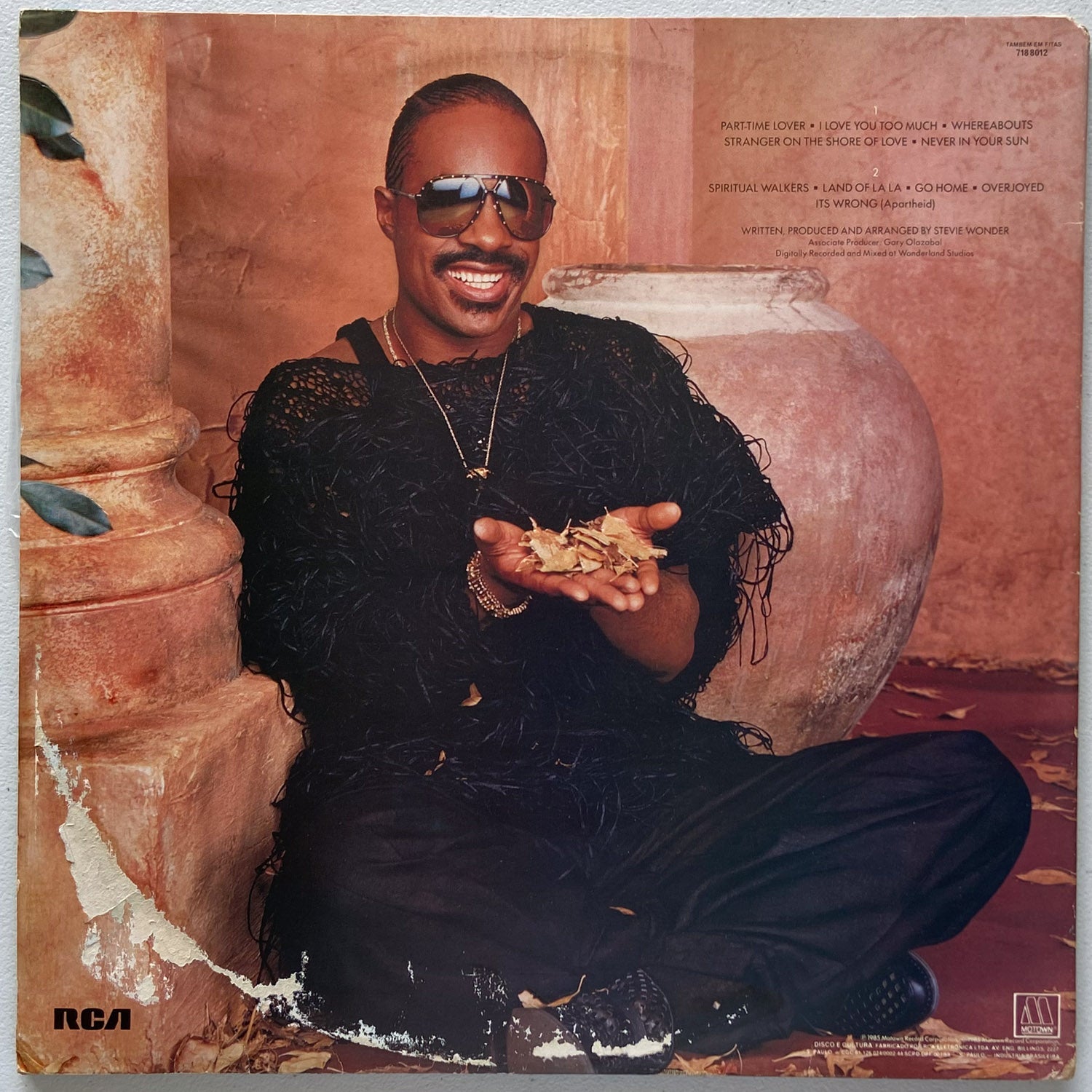 Stevie Wonder - In Square Circle (Disco de Vinil LP)