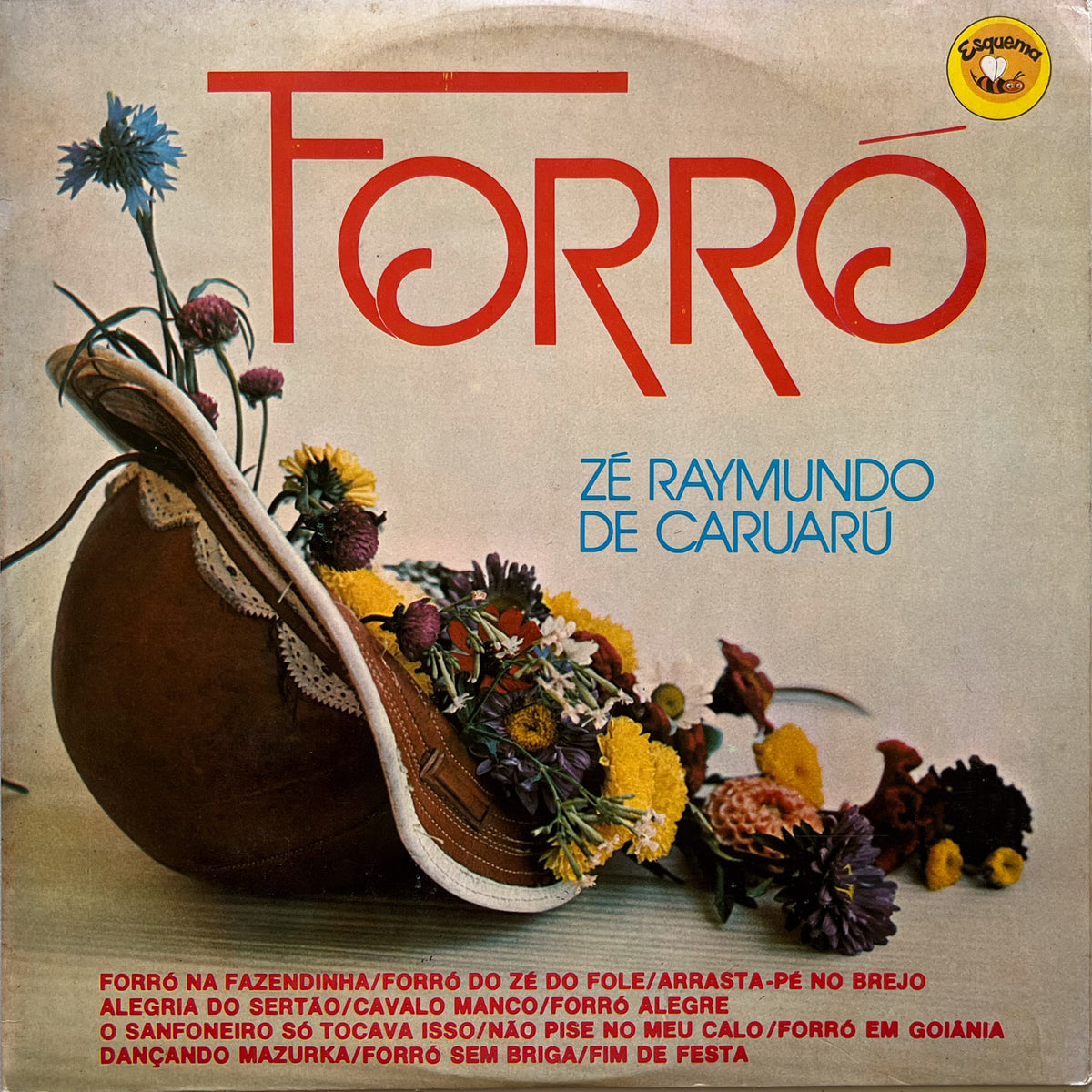 Zé Raymundo de Caruarú — Forró (Disco de Vinil LP, usado)