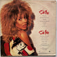 Tina Turner — Break Every Rule (Disco de Vinil LP, usado)