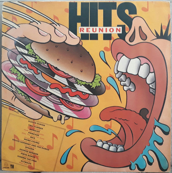 Various — Hits Reunion (Disco de Vinil LP, usado)