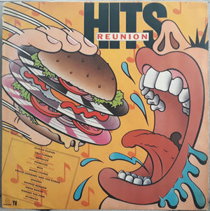 Various — Hits Reunion (Disco de Vinil LP, usado)