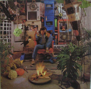 Evandro Mesquita — Evandro (Disco de Vinil LP, usado)