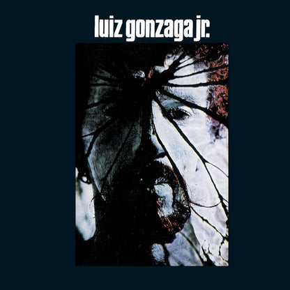 Gonzaguinha — Luiz Gonzaga Jr. (Disco de Vinil LP, lacrado)