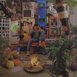 Evandro Mesquita — Evandro (Disco de Vinil LP, usado)