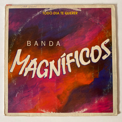 Magníficos — Todo Dia Te Querer (Disco de Vinil LP, usado)
