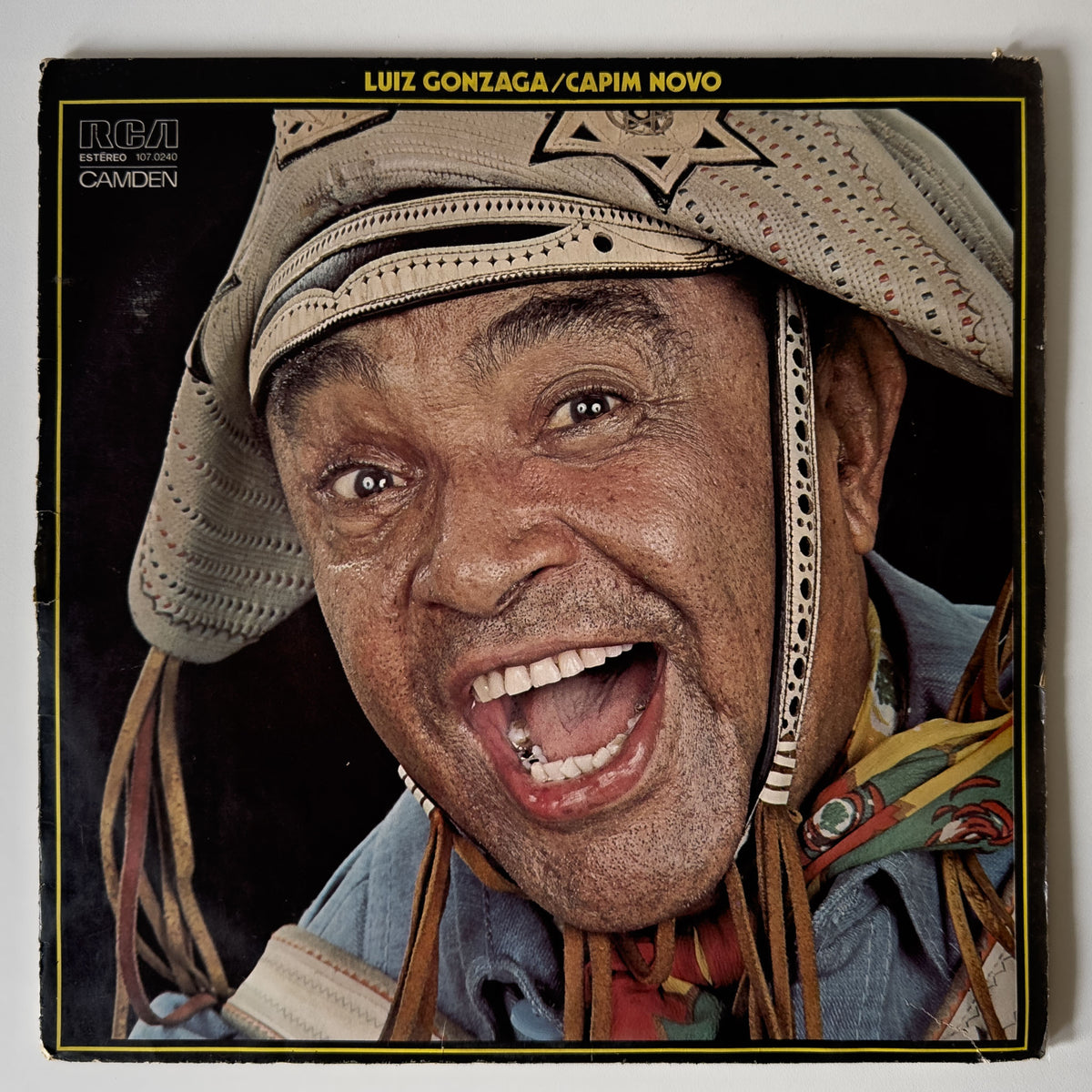 Luiz Gonzaga — Capim Novo (Disco de Vinil LP, usado)