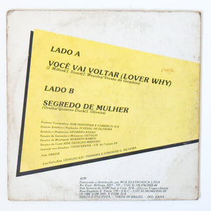 Ovelha — Você Vai Voltar (Lover Why) / Segredo De Mulher (Disco de Vinil LP, usado)