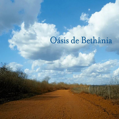 Maria Bethânia — Oásis de Bethânia (Disco de Vinil LP, lacrado)