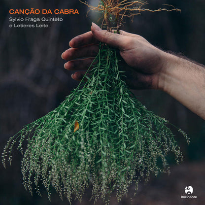 Sylvio Fraga Quinteto e Letieres Leite — Canção Da Cabra  (Disco de Vinil LP, lacrado)