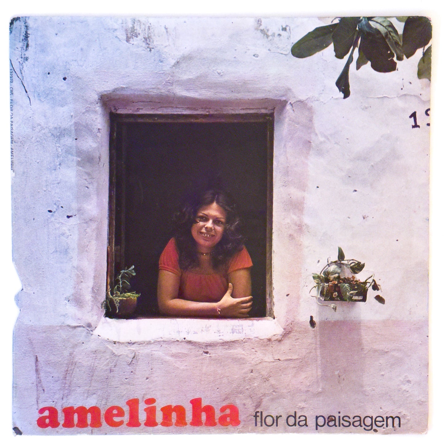 Amelinha - Flor Da Paisagem (LP)